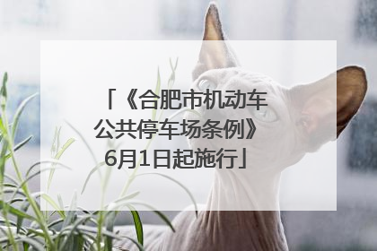 《合肥市机动车公共停车场条例》6月1日起施行