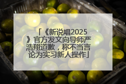 《新说唱2025》官方发文向导师严浩翔道歉，称不当言论为实习新人操作