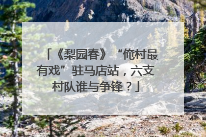《梨园春》“俺村最有戏”驻马店站，六支村队谁与争锋？
