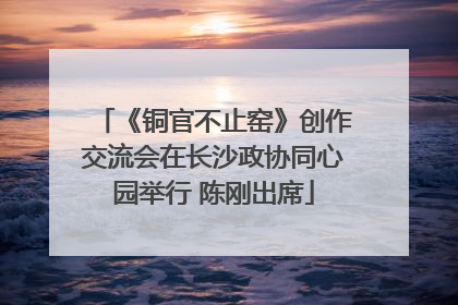 《铜官不止窑》创作交流会在长沙政协同心园举行 陈刚出席
