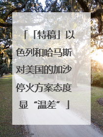 「特稿」以色列和哈马斯对美国的加沙停火方案态度显“温差”