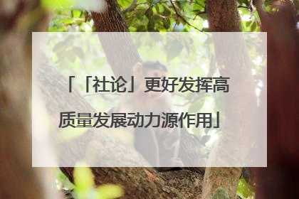 「社论」更好发挥高质量发展动力源作用