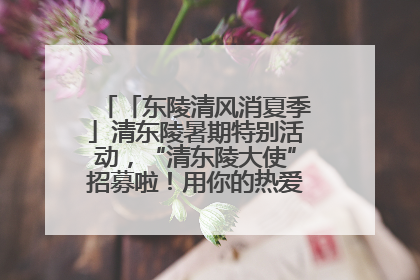 「东陵清风消夏季」清东陵暑期特别活动，“清东陵大使”招募啦！用你的热爱守护世界遗产！