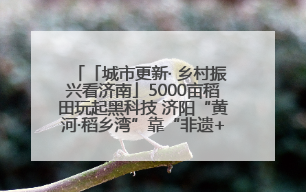 「城市更新· 乡村振兴看济南」5000亩稻田玩起黑科技 济阳“黄河·稻乡湾”靠“非遗+露营”火出圈