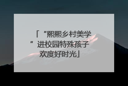 “熙熙乡村美学”进校园特殊孩子欢度好时光