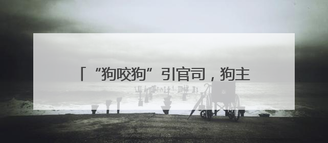 “狗咬狗”引官司，狗主人屡次不牵狗绳担全责