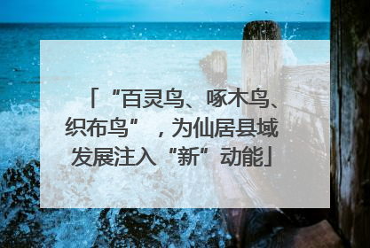 “百灵鸟、啄木鸟、织布鸟”，为仙居县域发展注入“新”动能