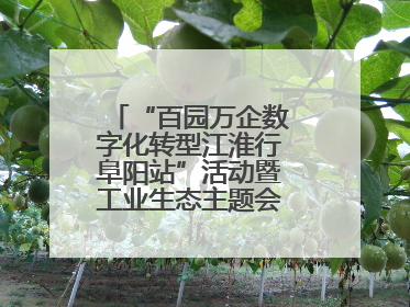 “百园万企数字化转型江淮行阜阳站”活动暨工业生态主题会议成功举办