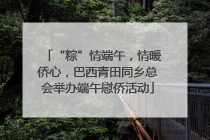 “粽”情端午，情暖侨心，巴西青田同乡总会举办端午慰侨活动