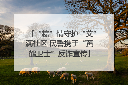 “粽”情守护“艾”满社区 民警携手“黄鹤卫士”反诈宣传
