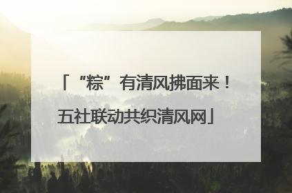 “粽”有清风拂面来！五社联动共织清风网