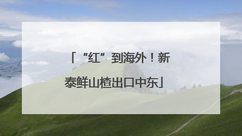 “红”到海外！新泰鲜山楂出口中东