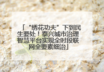 “绣花功夫”下到民生要处！泰兴城市治理智慧平台实现全时段联网全要素细治
