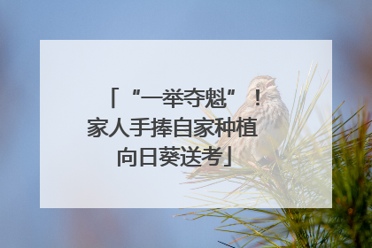 “一举夺魁”！家人手捧自家种植向日葵送考