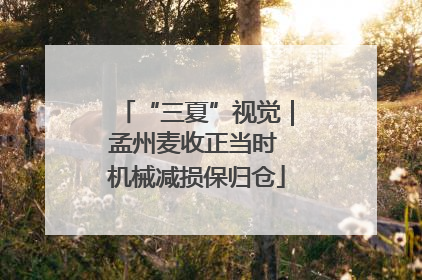“三夏”视觉｜孟州麦收正当时 机械减损保归仓