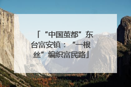 “中国茧都”东台富安镇：“一根丝”编织富民路