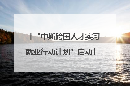 “中斯跨国人才实习就业行动计划”启动