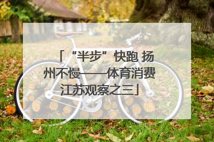 “半步”快跑 扬州不慢——体育消费江苏观察之三