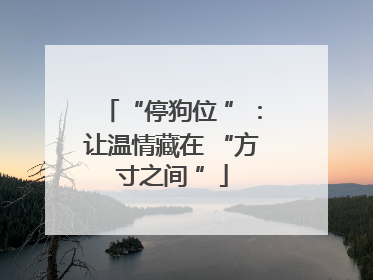 “停狗位 ”：让温情藏在 “方寸之间 ”