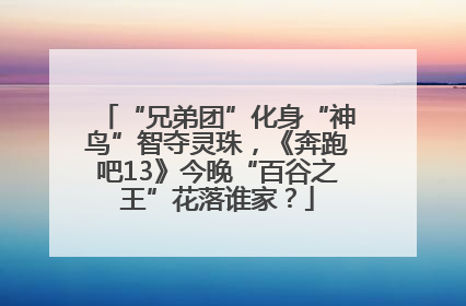 “兄弟团”化身“神鸟”智夺灵珠，《奔跑吧13》今晚“百谷之王”花落谁家？