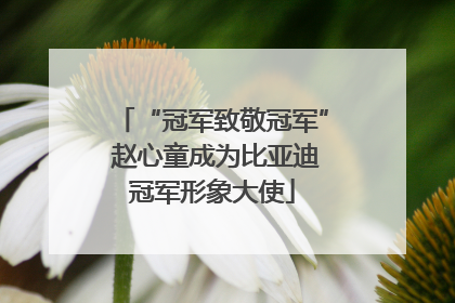 “冠军致敬冠军” 赵心童成为比亚迪冠军形象大使