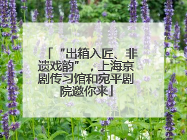 “出箱入匠、非遗戏韵”，上海京剧传习馆和宛平剧院邀你来