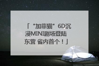 “加菲猫”6D沉浸MINI剧场登陆东营 省内首个！