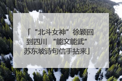 “北斗女神”徐颖回到四川 “能文能武”苏东坡诗句信手拈来