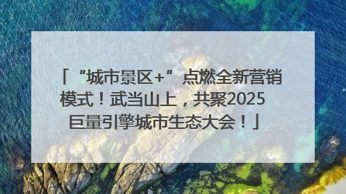 “城市景区+”点燃全新营销模式！武当山上，共聚2025巨量引擎城市生态大会！
