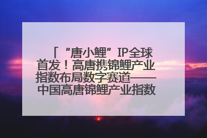 “唐小鲤”IP全球首发！高唐携锦鲤产业指数布局数字赛道——中国高唐锦鲤产业指数暨“唐小鲤”IP全球首发仪式在杭州举行