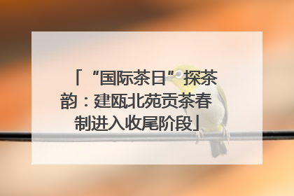 “国际茶日”探茶韵：建瓯北苑贡茶春制进入收尾阶段