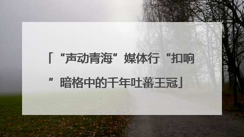 “声动青海”媒体行“扣响”暗格中的千年吐蕃王冠