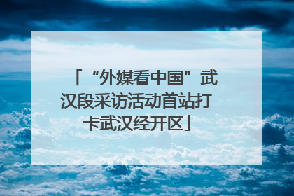 “外媒看中国”武汉段采访活动首站打卡武汉经开区