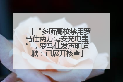 “多所高校禁用罗马仕两万毫安充电宝”，罗马仕发声明道歉：已展开核查