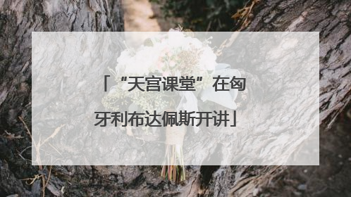 “天宫课堂”在匈牙利布达佩斯开讲