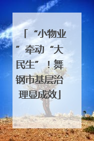 “小物业”牵动“大民生”！舞钢市基层治理显成效