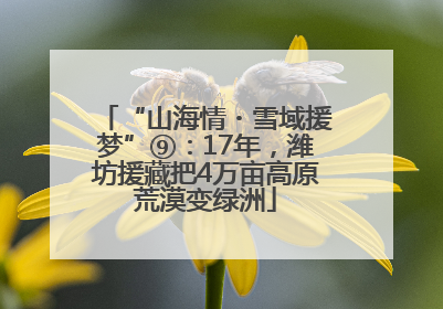 “山海情・雪域援梦”⑨：17年，潍坊援藏把4万亩高原荒漠变绿洲