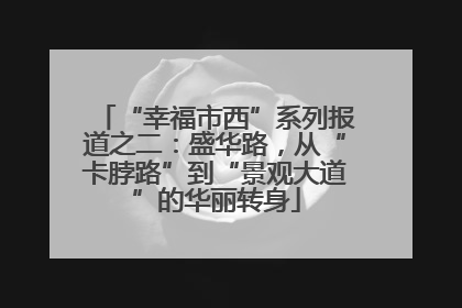 “幸福市西”系列报道之二：盛华路，从“卡脖路”到“景观大道”的华丽转身