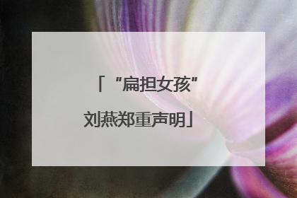 “扁担女孩”刘燕郑重声明