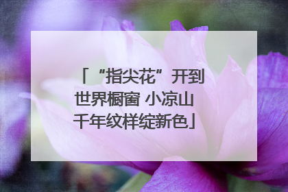 “指尖花”开到世界橱窗 小凉山千年纹样绽新色