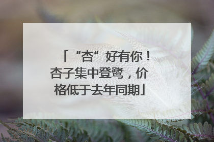 “杏”好有你！杏子集中登鹭，价格低于去年同期