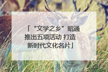 “文学之乡”昭通推出五项活动 打造新时代文化名片
