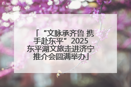 “文脉承齐鲁 携手赴东平”2025东平湖文旅走进济宁推介会圆满举办