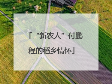 “新农人”付鹏程的稻乡情怀
