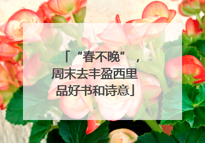 “春不晚”，周末去丰盈西里品好书和诗意