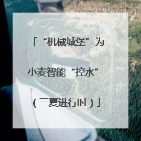 “机械城堡”为小麦智能“控水”（三夏进行时）