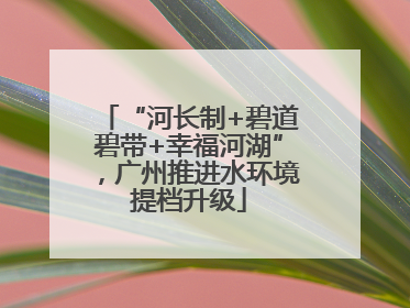 “河长制+碧道碧带+幸福河湖”，广州推进水环境提档升级
