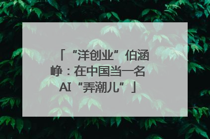 “洋创业”伯涵峥：在中国当一名AI“弄潮儿”