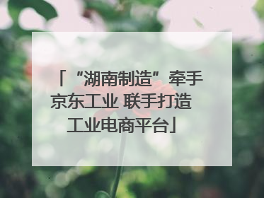 “湖南制造”牵手京东工业 联手打造工业电商平台