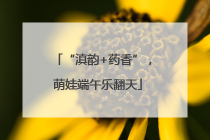 “滇韵+药香”，萌娃端午乐翻天